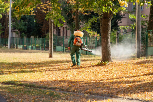 Best Residential Pest Control  in Shorewood Hills, WI