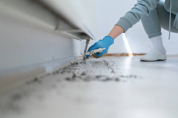 Professional Pest Control in Shorewood Hills, WI